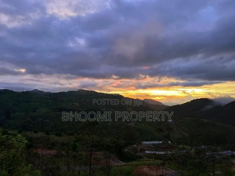 සුන්දර හැටන් වටවලින් අගනා බිම් කොටස්