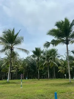 Land For Sale Aluthgama