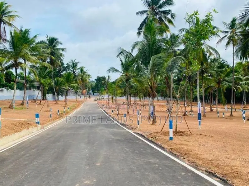 ආරක්ෂිතව දිවි කඳා⁣නෙන් හොඳම තැනක්