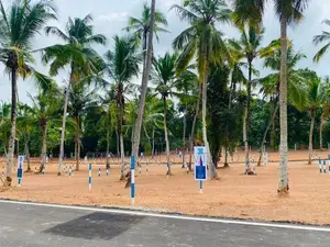 High Residential Lands Plots in Kandana