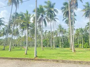ගම්පහ - මිනුවන්ගොඩ බස් පාරට සමීපව බිම් කොටස්