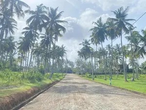 Lands in Gampaha Minuwangoda Road