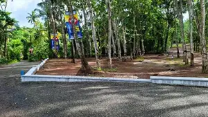 දිවුලපිටියෙන් බිම්කොටස්