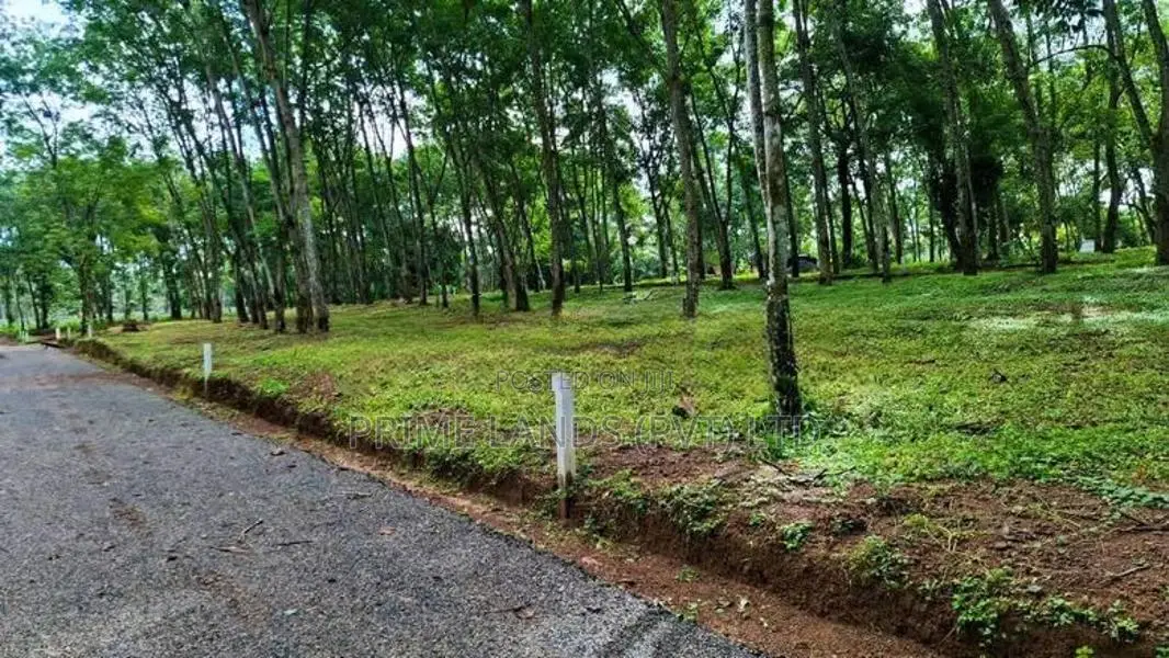 Land in Diulapitiya