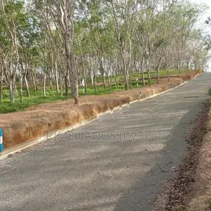 අහංගම පංචාලිය පාරට මුහුණලා බිම් කොටස්