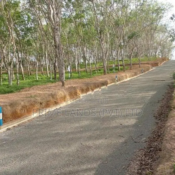 අහංගම පංචාලිය පාරට මුහුණලා බිම් කොටස්