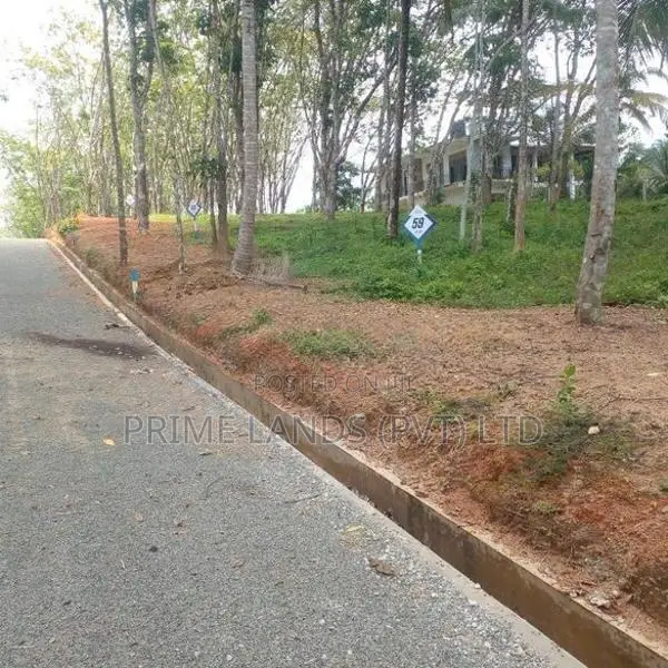 අහංගම පංචාලිය පාරට මුහුණලා බිම් කොටස්