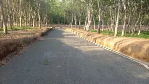 අහංගම පංචාලිය පාරට මුහුණලා බිම් කොටස්