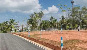 Dream Land in The Heart of Gampaha