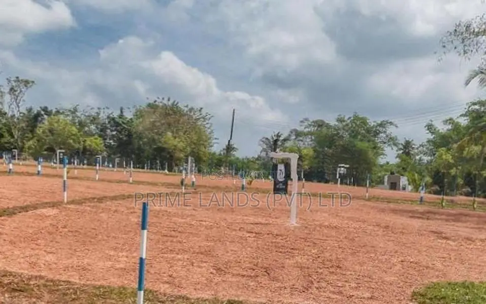 Dream Land in The Heart of Gampaha