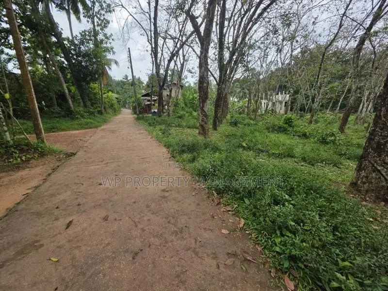 Incredible 300-Perch Property in Homagama