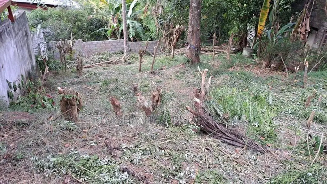 Valuable Land For sale – Gurudeniya, Kandy - Just 12 min to Lake Round