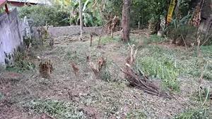 Valuable Land For sale – Gurudeniya, Kandy - Just 12 min to Lake Round