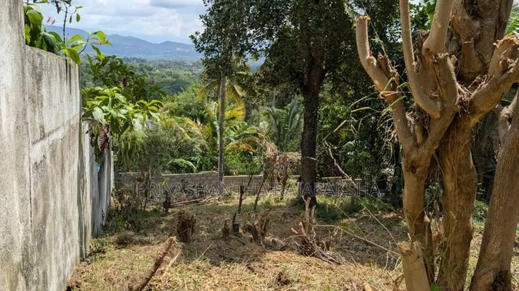 Valuable Land For sale – Gurudeniya, Kandy - Just 12 min to Lake Round