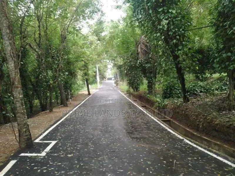 නේවාසික බිම් කොටස් විකිණීම ගොඩගම