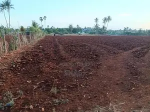 Thevaijaana Kaanikal Ullana