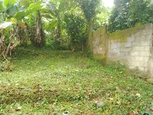 Land for sale in Matale