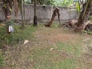 කුරණ , කටුනායකින් පර්චස් 180 ක ඉඩමක්