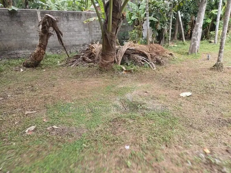 කුරණ , කටුනායකින් පර්චස් 180 ක ඉඩමක්