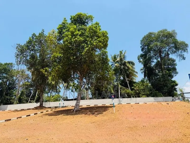 Panadura Hirana Lands
