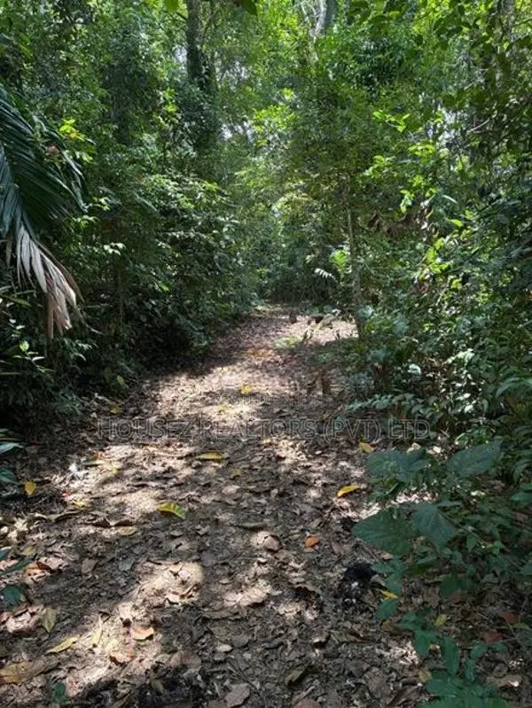Prime 70-Perch Waterfront Land for Sale – Bandaragama