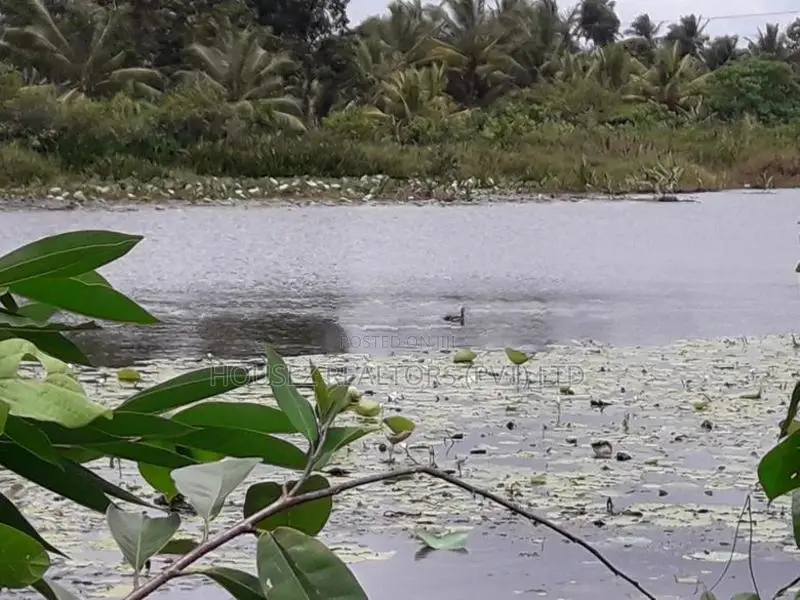 Prime 70-Perch Waterfront Land for Sale – Bandaragama