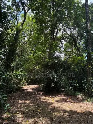 Prime 70-Perch Waterfront Land for Sale – Bandaragama