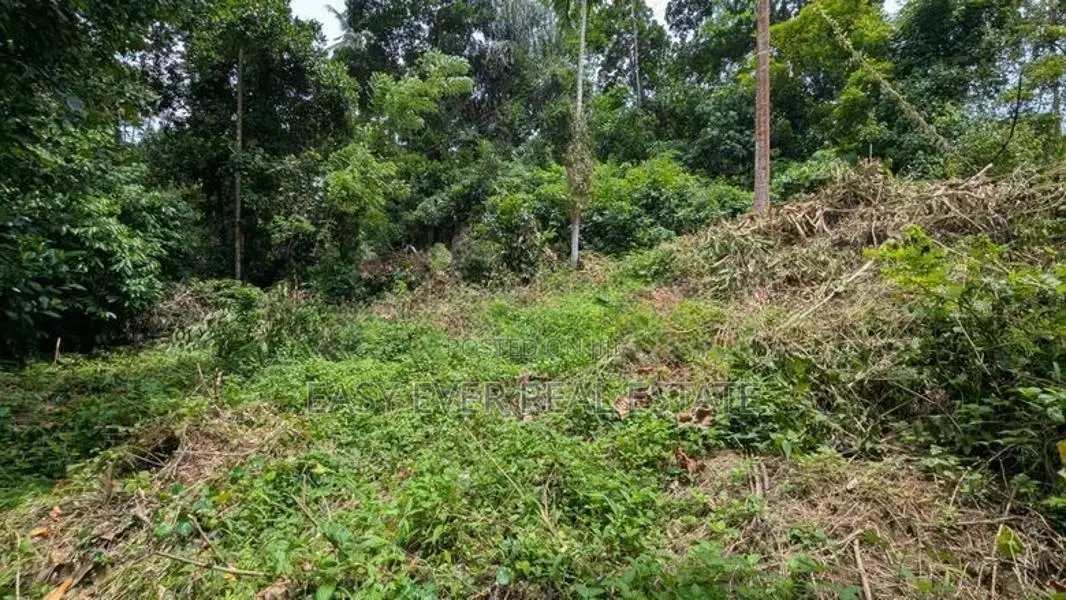 වරකපොල මීරිගම පාරෙන් වටිනා ඉඩමක්