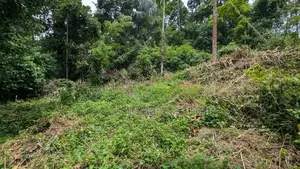 වරකපොල මීරිගම පාරෙන් වටිනා ඉඩමක්