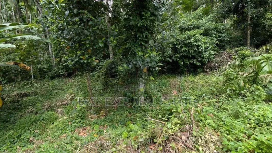 වරකපොල මීරිගම පාරෙන් වටිනා ඉඩමක්