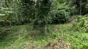 වරකපොල මීරිගම පාරෙන් වටිනා ඉඩමක්