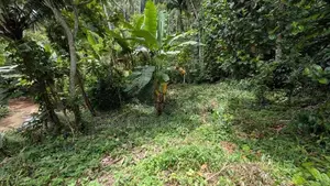 වරකපොල මීරිගම පාරෙන් වටිනා ඉඩමක්