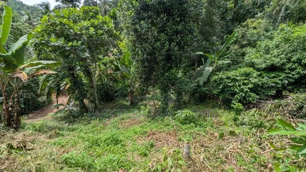 වරකපොල මීරිගම පාරෙන් වටිනා ඉඩමක්