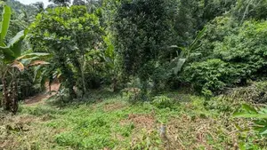 වරකපොල මීරිගම පාරෙන් වටිනා ඉඩමක්