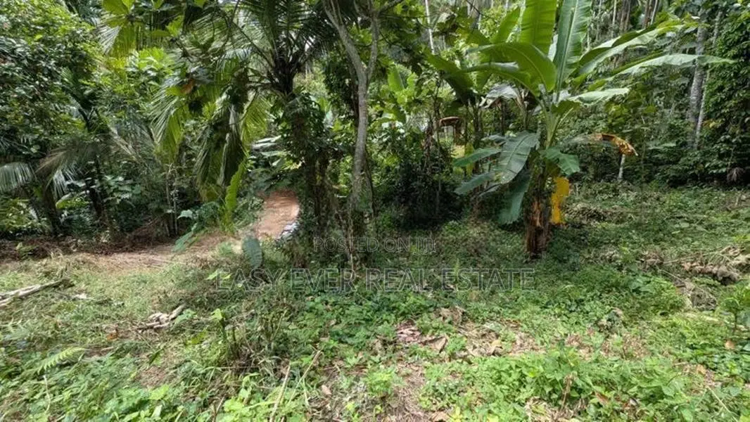 වරකපොල මීරිගම පාරෙන් වටිනා ඉඩමක්