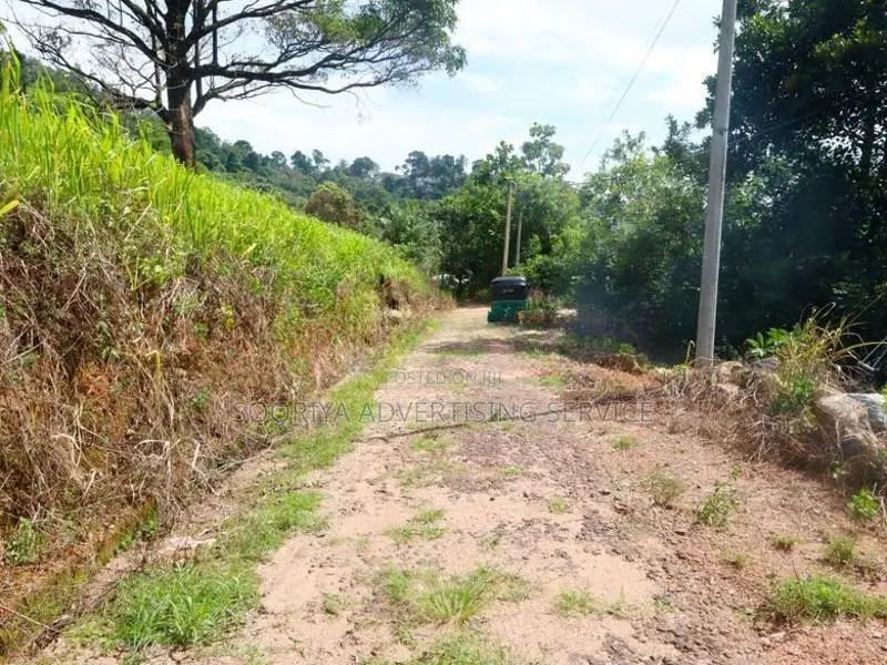 Scenic Hill-Country Land Near Kandy Town
