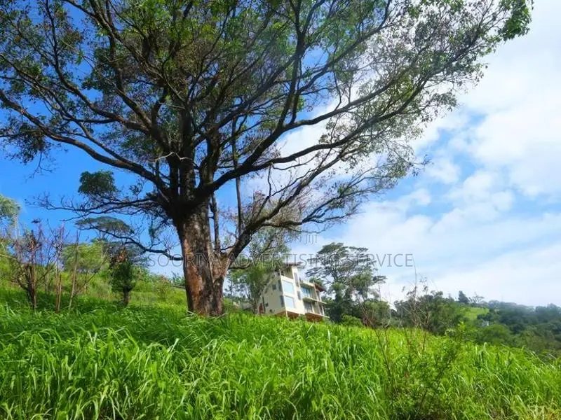 Scenic Hill-Country Land Near Kandy Town