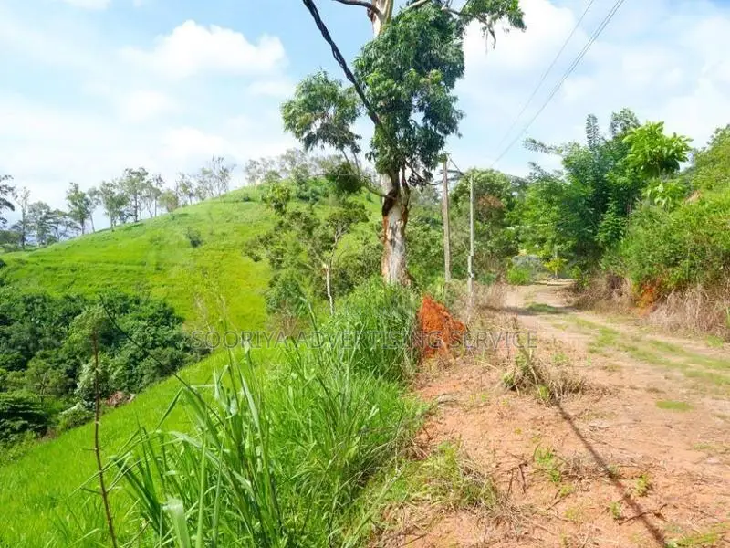 Scenic Hill-Country Land Near Kandy Town