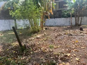 Land for Sale in Quiet, Residential Area Kalubowila