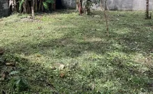 Land for Sale in Quiet, Residential Area Kalubowila