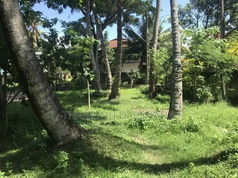 Land for Sale in Matara
