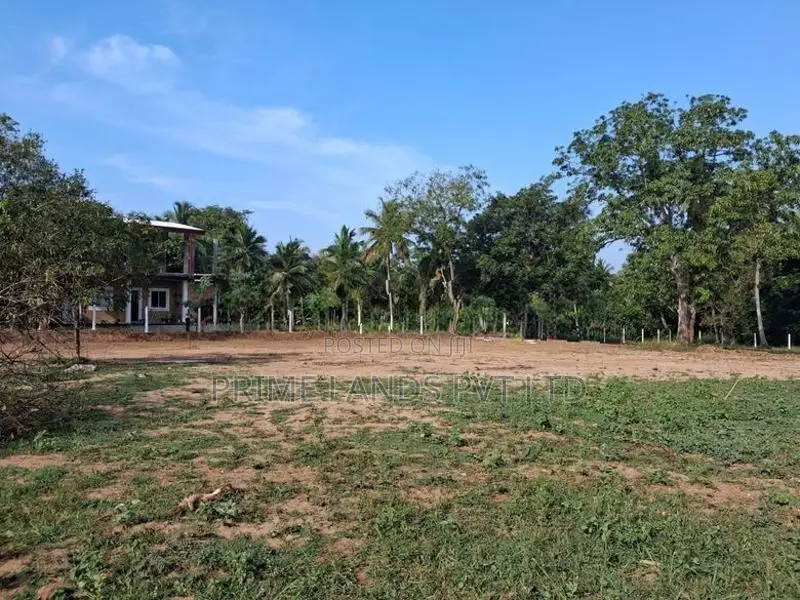 Land for Sale in Dambulla Kandy Road
