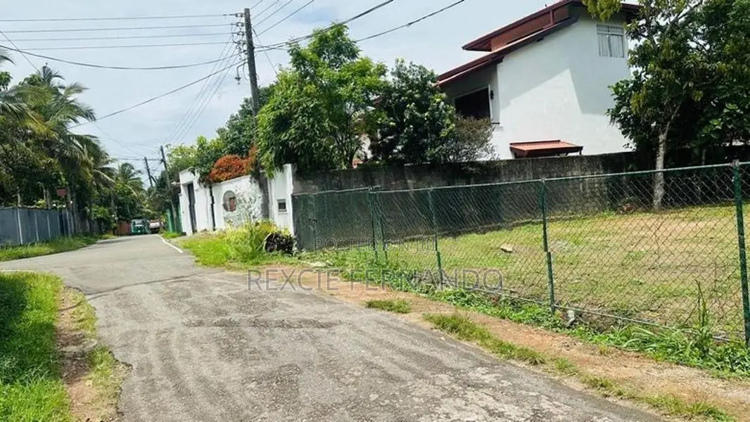bear land