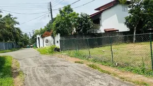 bear land