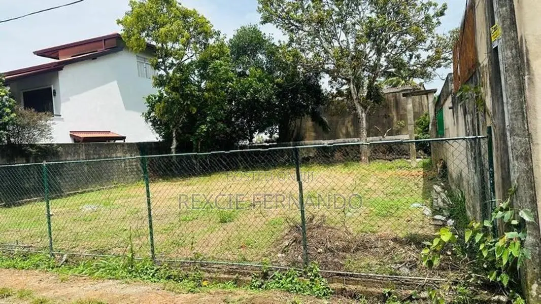 bear land