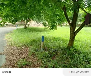 Land for Sale Welivita