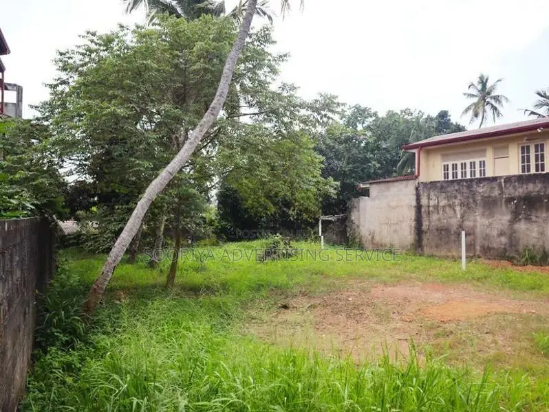 Modern Designer Home Close to Beach & Railway