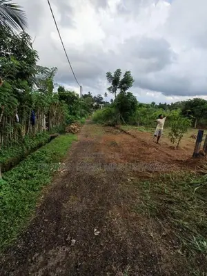 කොළඹ දිස්ත්‍රික්කයෙන් වටිනා ඉඩමක් ඉක්මනින් විකිණීමට Meepe