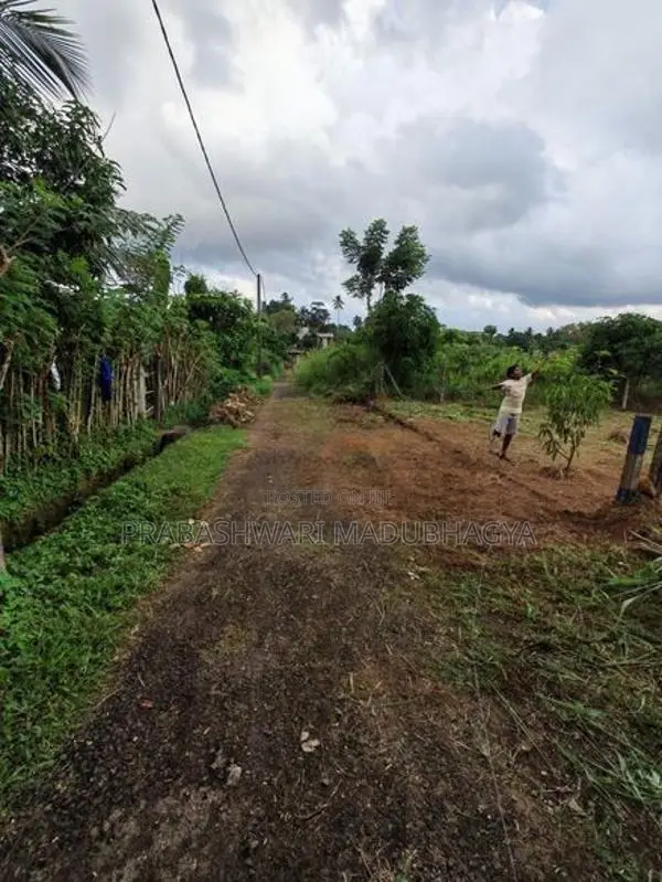 කොළඹ දිස්ත්‍රික්කයෙන් වටිනා ඉඩමක් ඉක්මනින් විකිණීමට Meepe