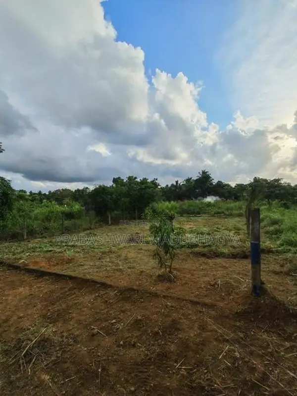 කොළඹ දිස්ත්‍රික්කයෙන් වටිනා ඉඩමක් ඉක්මනින් විකිණීමට Meepe